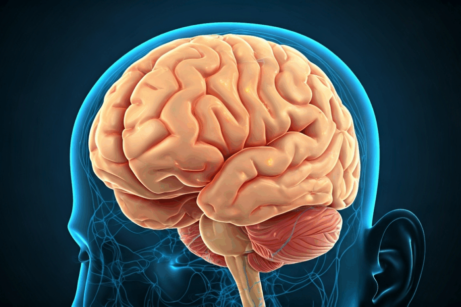 Shocking study reveals Alzheimer's in a 19-year-old. Discover why proactive brain health is vital for everyone.